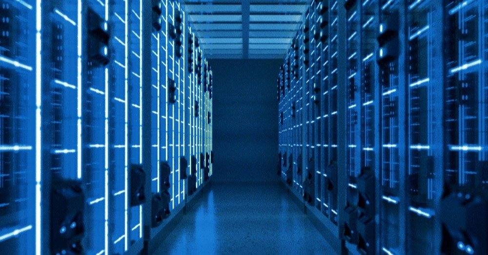 data organization