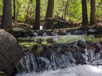 Magical creek sit spot at Headwaters Outdoor School