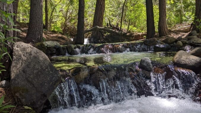 Magical creek sit spot at Headwaters Outdoor School