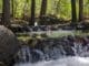 Magical creek sit spot at Headwaters Outdoor School