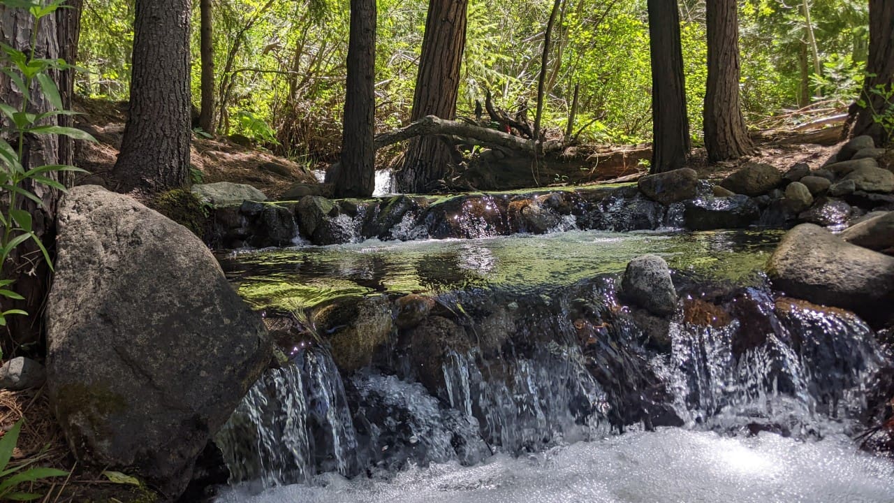 Magical creek sit spot at Headwaters Outdoor School